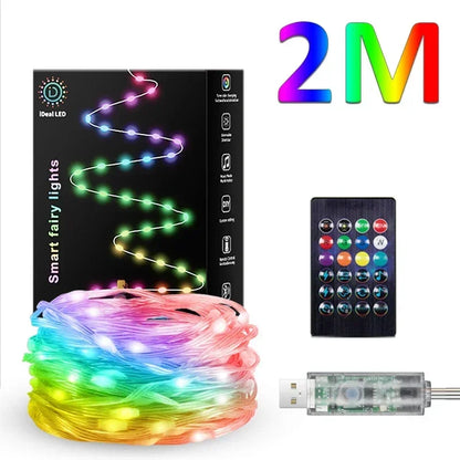 Guirlande lumineuse rgb 2 M